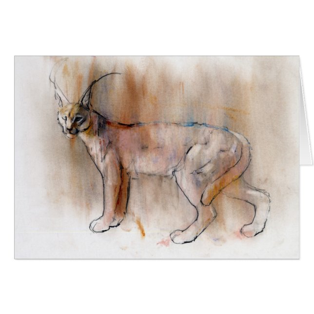 Arabian Caracal 2009 (Front Horizontal)