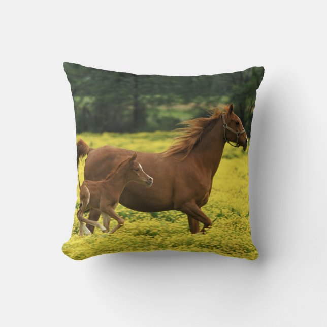 Arabian foal and mare running through throw pillow (Front)