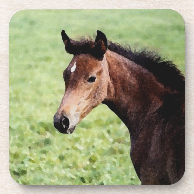 Arabian Foal watercolor coaster (Front)