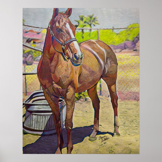 Arabian Horse Art Poster (Front)