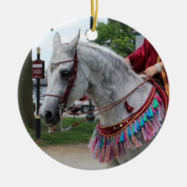 Arabian Horse Costume ornament (Front)
