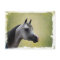 Arabian Horse Grunge