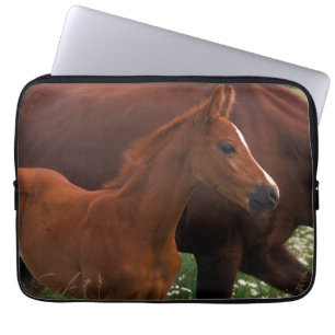 Arabian Horse Near Mother Laptop Sleeve