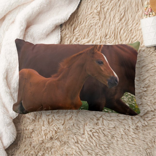 Arabian Horse Near Mother Lumbar Pillow (Blanket)