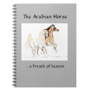 Arabian Horse Notebook