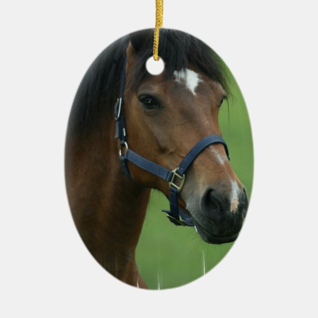 Arabian Horse Ornament (Front)