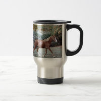 Arabian Horse running free on the pasture