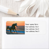 Arabian Horse Stallion Address labels (Insitu)