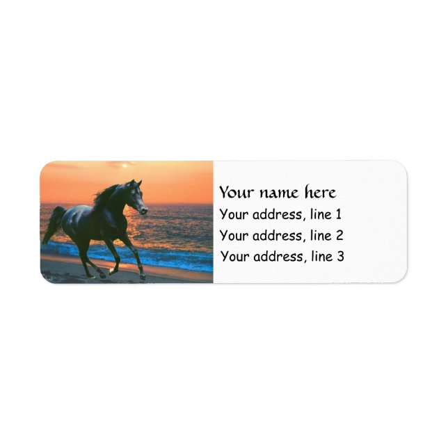 Arabian Horse Stallion Address labels (Front)