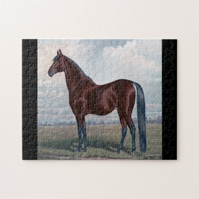 Arabian Horse Standing In A Field Jigsaw Puzzle (Horizontal)