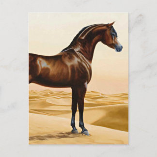 Arabian Horse - William Barraud Postcard