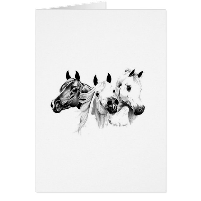 Arabian Horses (Front)