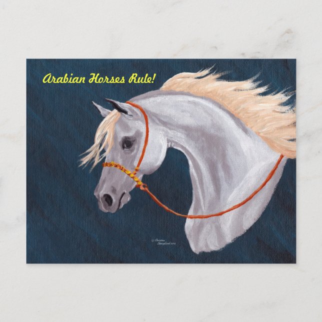 Arabian Horses Rule Postcard (Front)