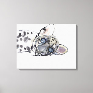 Arabian Leopard 2008 3 Canvas Print