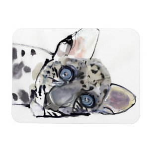 Arabian Leopard 2008 3 Magnet