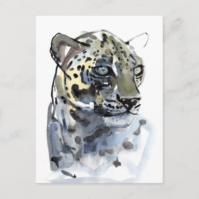 Arabian Leopard 2008  4 Postcard (Front)