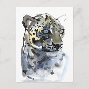 Arabian Leopard 2008  4 Postcard