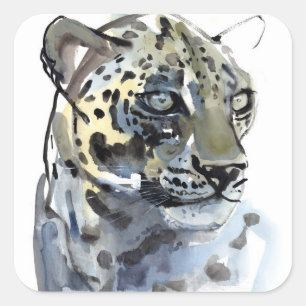 Arabian Leopard 2008  4 Square Sticker