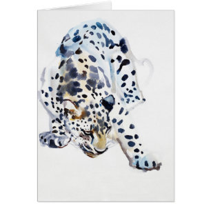 Arabian Leopard 2008 5