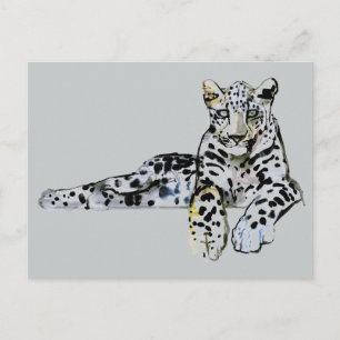 Arabian Leopard 2008  7 Postcard