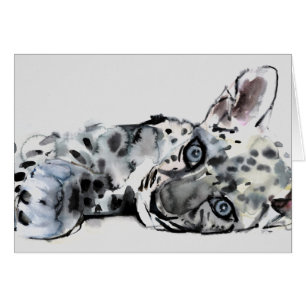 Arabian Leopard Cub 2008