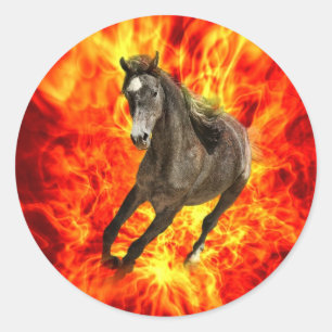 Arabian on fire classic round sticker