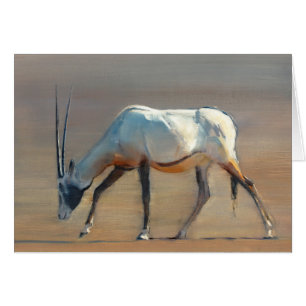 Arabian Oryx 2010