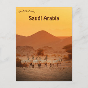 Arabian Oryx Neom Saudi Arabia Postcard