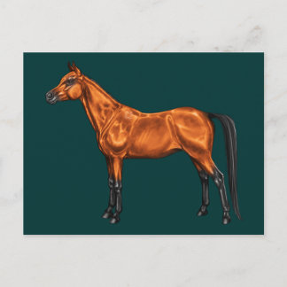 Arabian Postcard