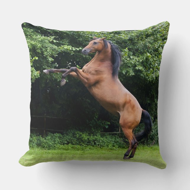 Arabian Stallion Throw Pillow (Front)