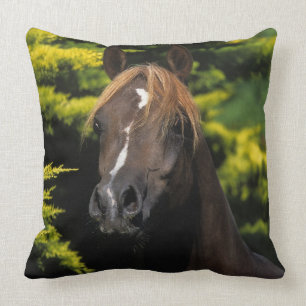 Arabian Stallion Throw Pillow