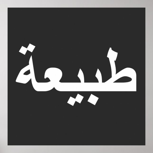 arabic calligraphy writing text arab lettering poster (Front)