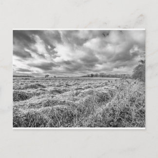 Arable field in the countryside of rural Norfol Postcard