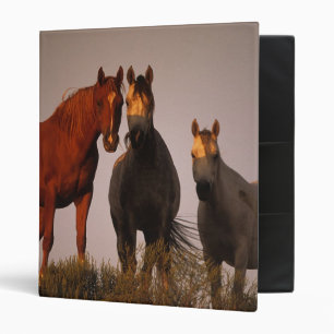 Arabs at Sunset Binder