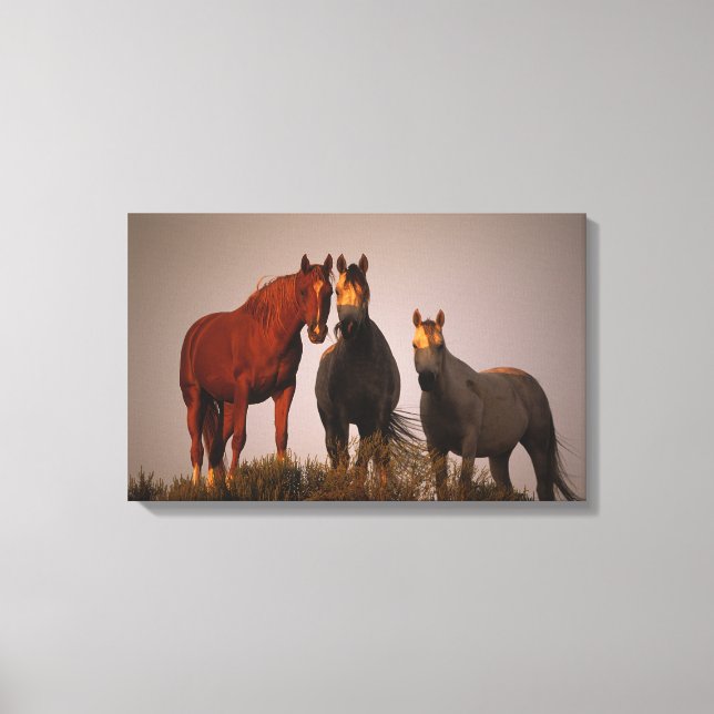 Arabs at Sunset Canvas Print (Front)