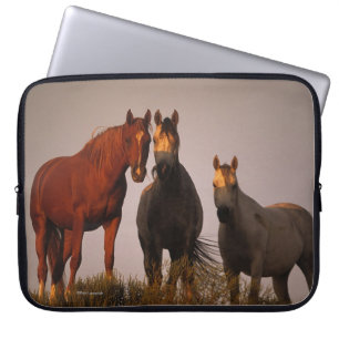 Arabs at Sunset Laptop Sleeve