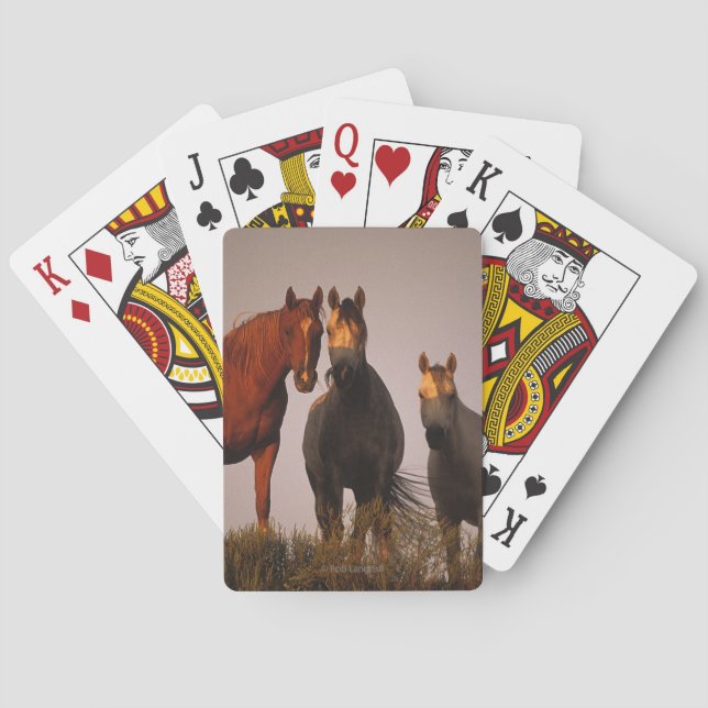 Arabs at Sunset Playing Cards (Back)