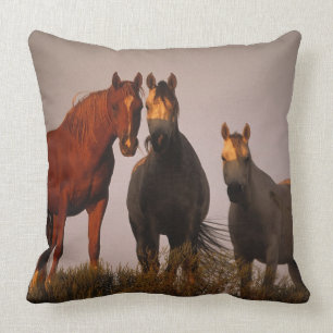 Arabs at Sunset Throw Pillow