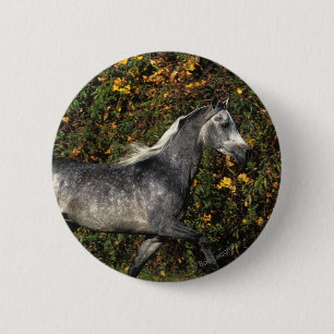 Arabs Running: Autumn 2 Inch Round Button
