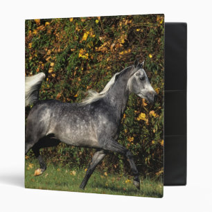 Arabs Running: Autumn Binder