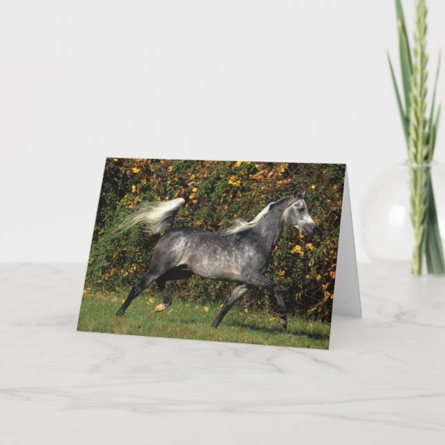 Arabs Running: Autumn Card (Front)