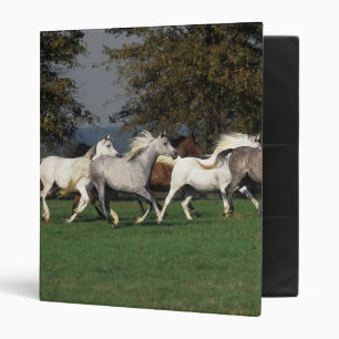 Arabs Running in Field Binder