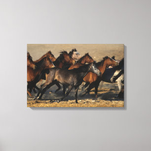 Arabs Running in the Desert Canvas Print