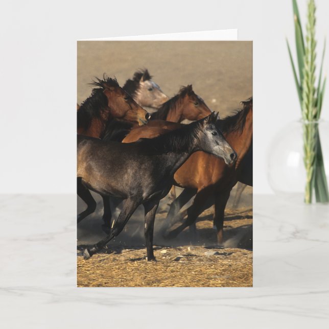 Arabs Running in the Desert Card (Front)