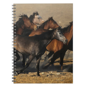Arabs Running in the Desert Notebook