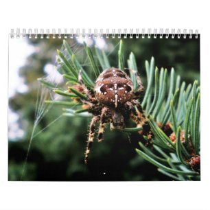 Arachnida Calendar