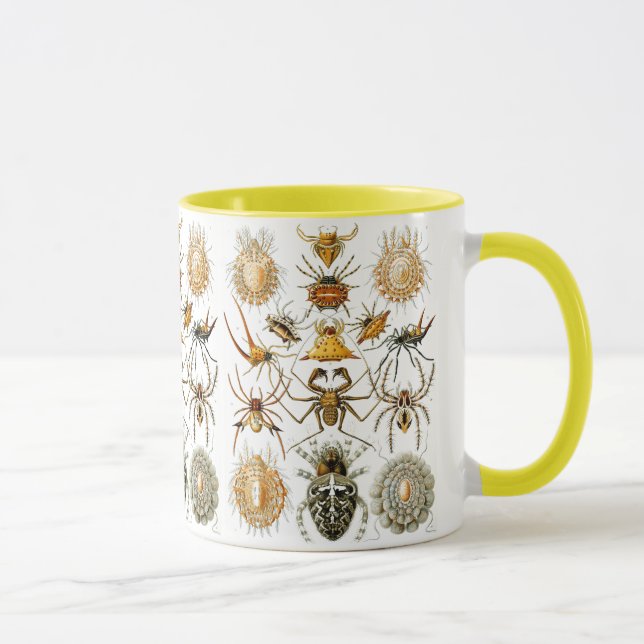 Arachnida (Spiders) Ernst Haeckel Fine Art Mug (Right)