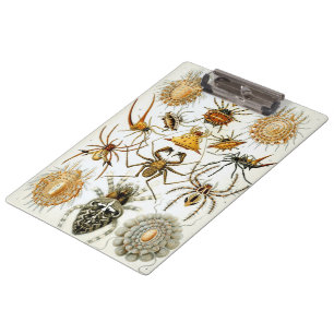 Arachnids by Ernst Haeckel, Vintage Spiders Clipboard