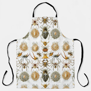 Arachnids by Haeckel vintage spider illustration  Apron