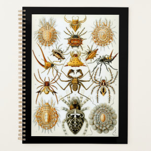 Arachnids by Haeckel vintage spider illustration Planner